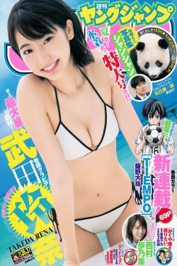 老马的春天顾晓婷的更新时间